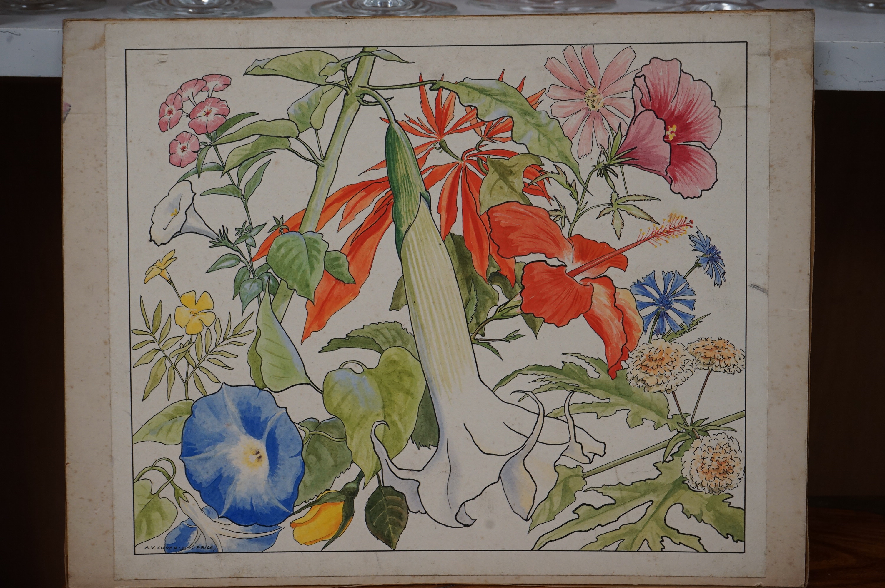 Arthur Victor Coverley-Price (1901-1988), ink and watercolour, ‘Mexican flower panel’, signed, 28 x 32cm, unframed. Condition - fair